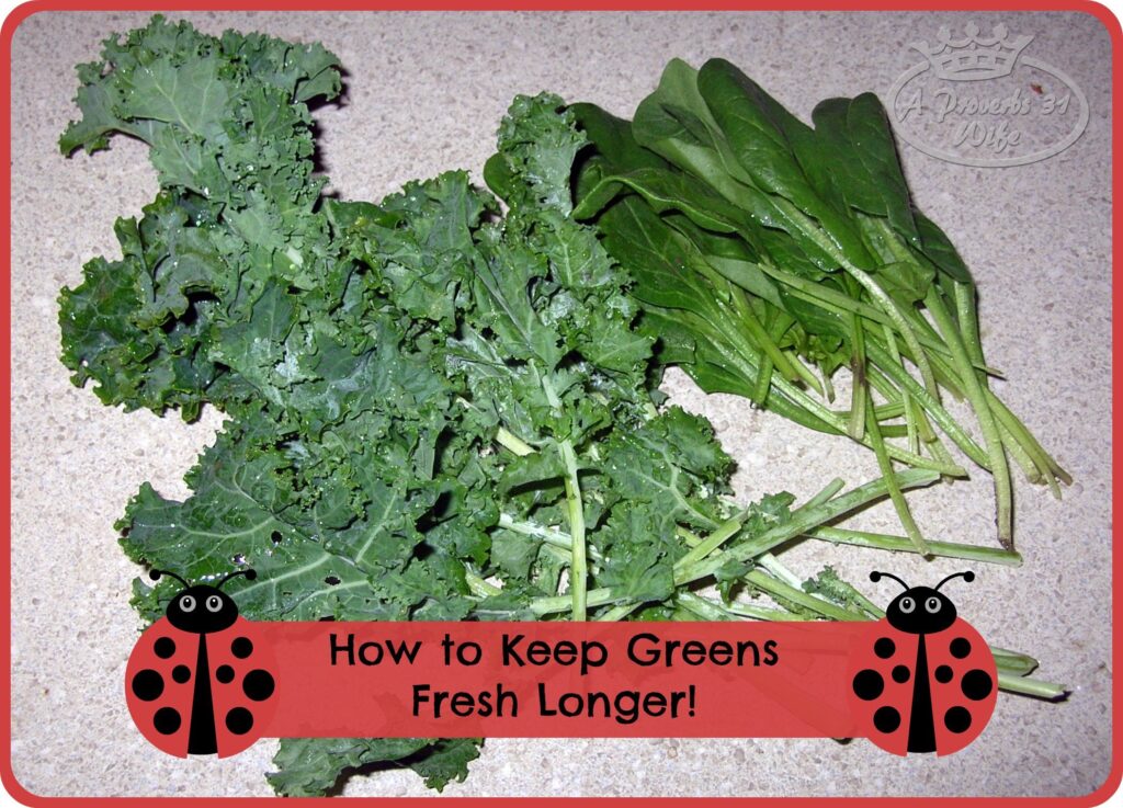How to Keep Greens Fresh Longer