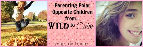 Parenting Polar Opposite Children-From Wild to Calm 2