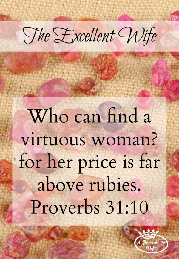 The Excellent Wife. Who can find a virtuous woman?