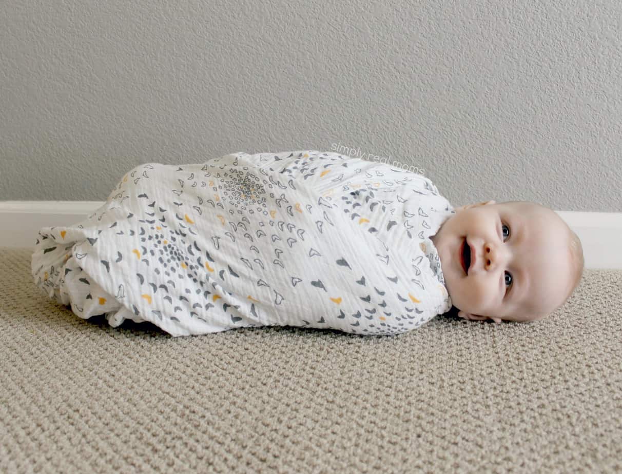 Bebe Au Lait Sparrow