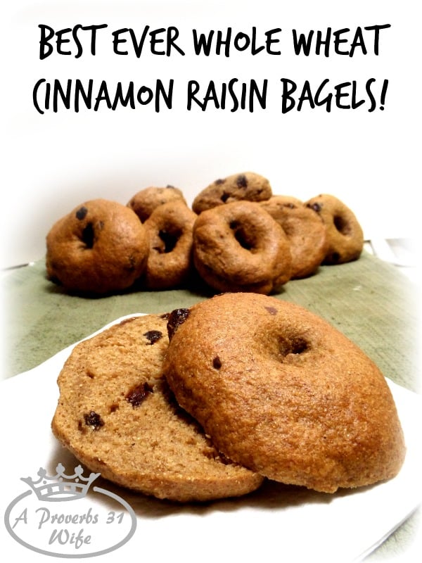 Best ever cinnamon raisin bagel recipe! Whole wheat, homemade and delicious!!!