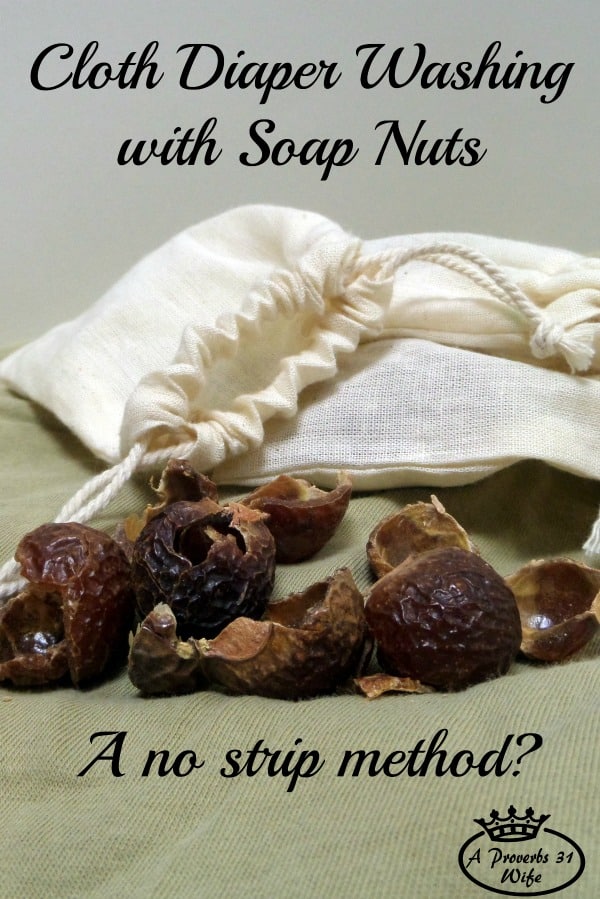 Cloth diaper washing using soap nuts