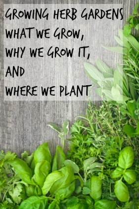 Growing herb gardens are not hard, even for beginners. Many herbs have pretty flowers and gan be planted into the landscaping.