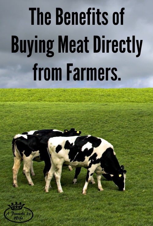 Learn the benefits of buying meat from farmers directly instead of at the store.