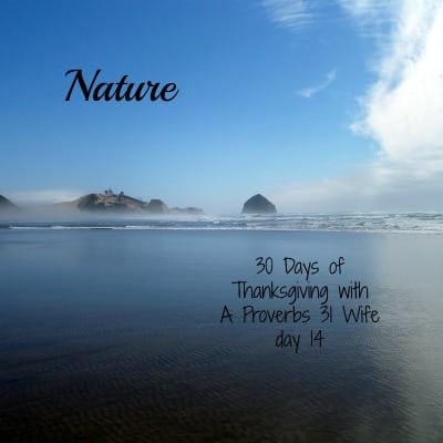 In nature we find the fingerprints of God