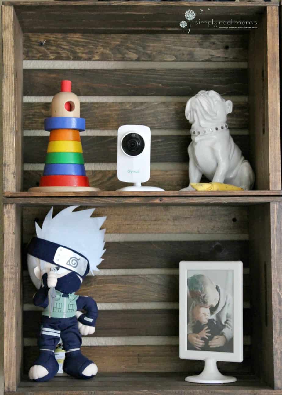 Camera with Decor