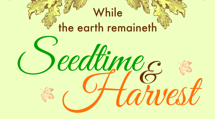 Bringing it all together... God has given us a promise of harvest. His promises are sure and true. We bless him for this promise.