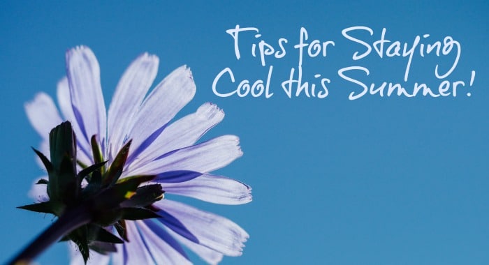 How to Stay Cool without Running up the Electric Bill