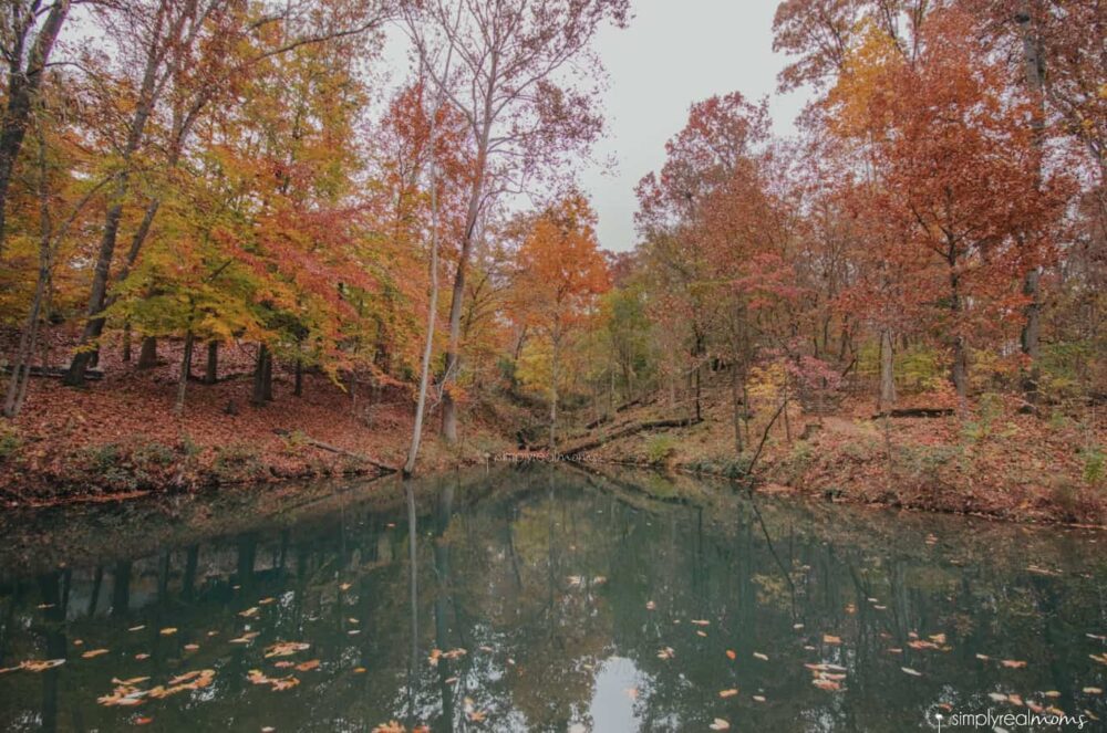 10 Reasons Why You Will Love Bentonville, Arkansas Hello Sensible