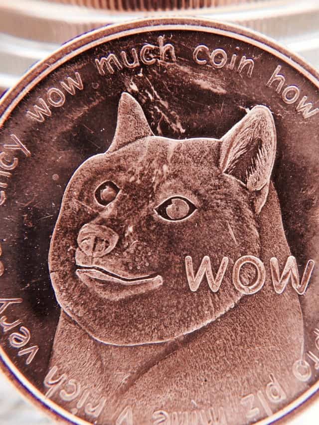 How To Buy Dogecoin This Year Hello Sensible