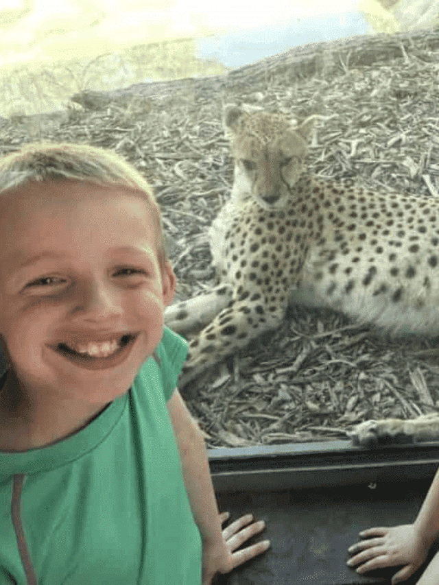 Pogo Pass Review Is It Worth the Money Story Hello Sensible