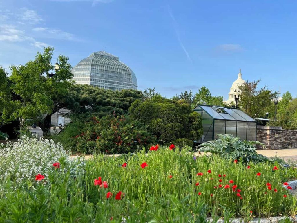 11 Must-Know Gardening Tips for Beginners