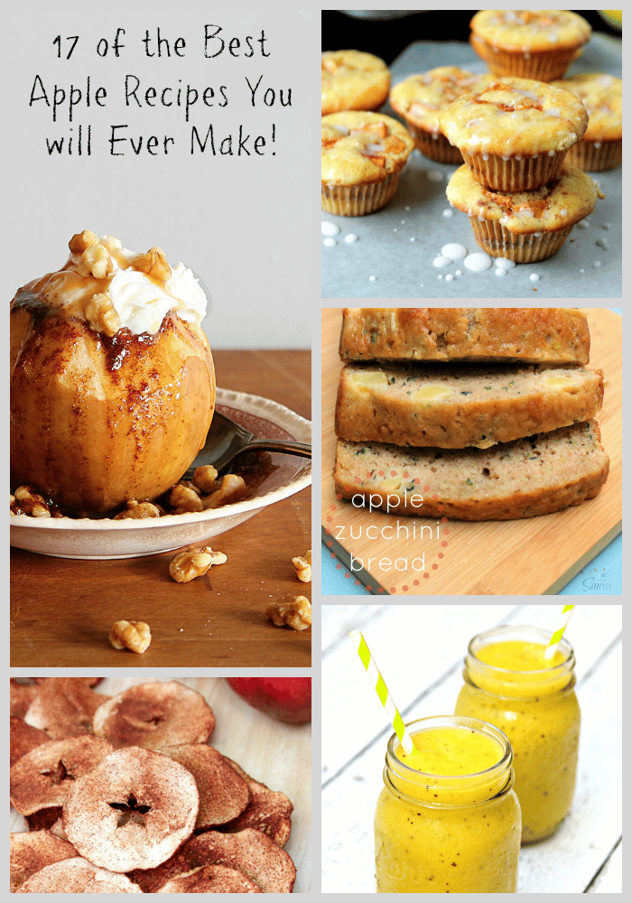 Here are 17 of the best apple recipes for fall (or any time!) these are a must try for the season