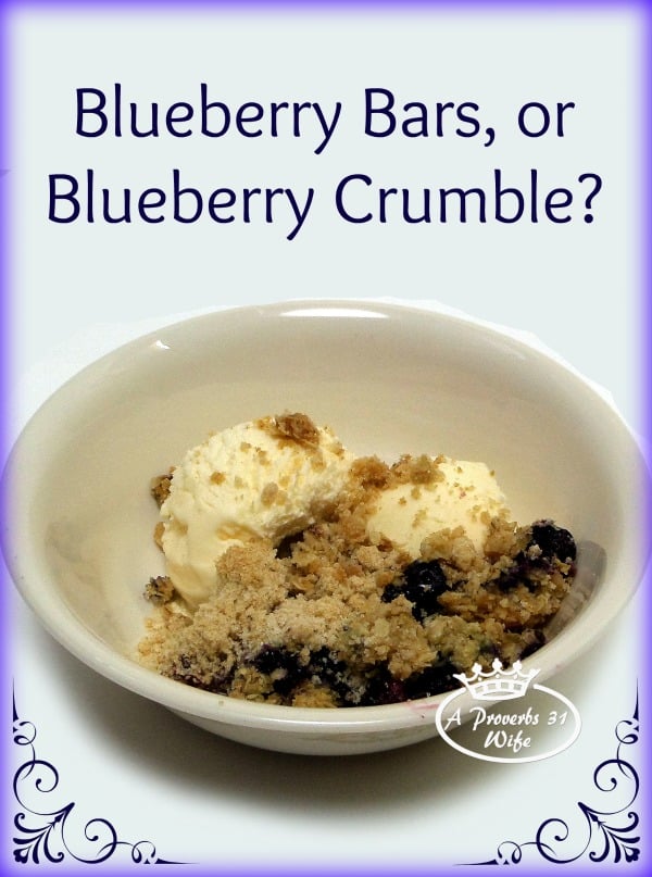 Whole wheat blueberry breakfast bars, crumbled and put on top of ice cream. This recipe is amazing!!!