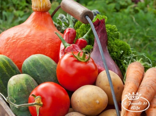 Basket of produce
