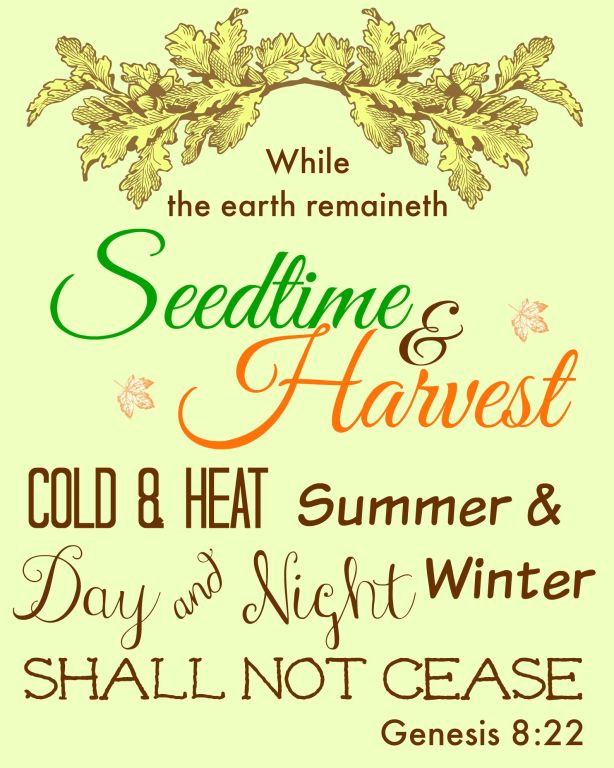 God has given us a promise of harvest. His promises are sure and true. We bless him for this promise.