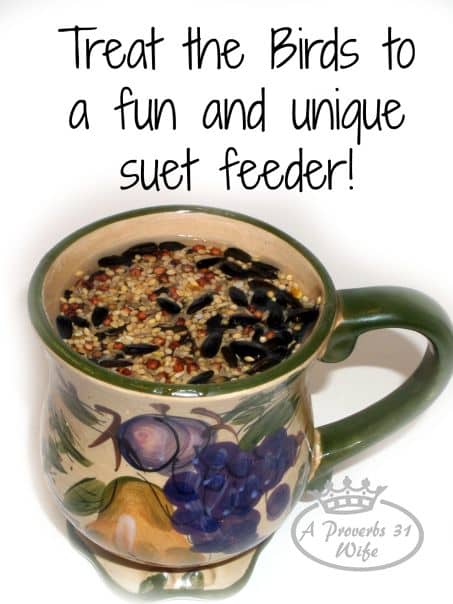 How to make your own bird suet feeders in a mug.  *you will never believe how easy this is!