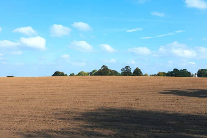 Is Certified Organic Really the Best? An interesting look at organic farming practices