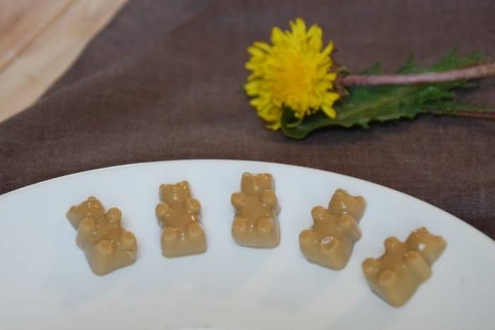 A homemade mocha gummy bears recipe using herbal and regular coffee!