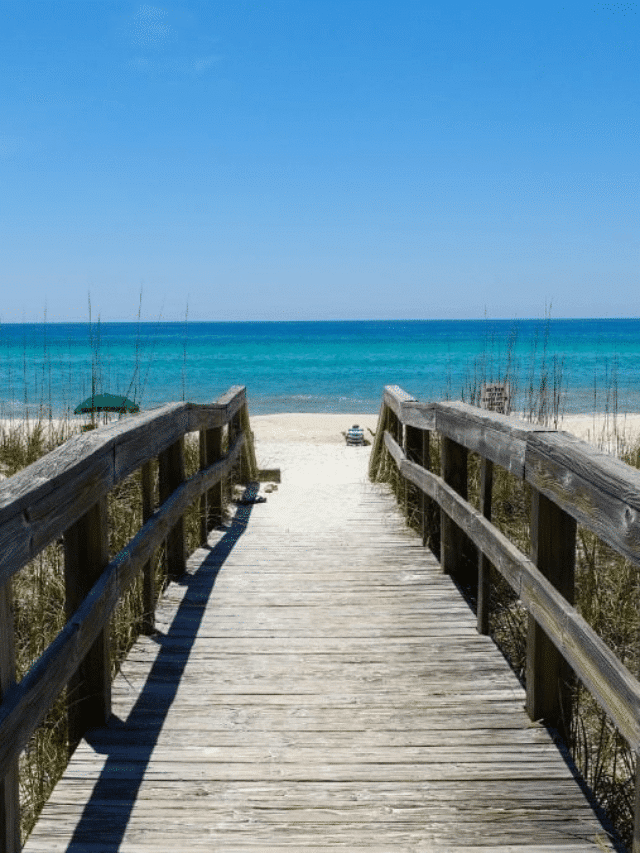 EXPLORE – Guide to Exploring Henderson Beach State Park Story