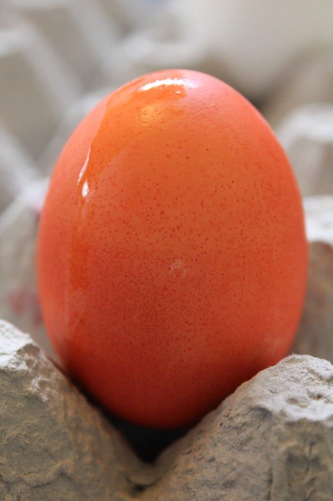 KoolAid Easter Eggs Alternative to Standard Egg Dye Hello Sensible