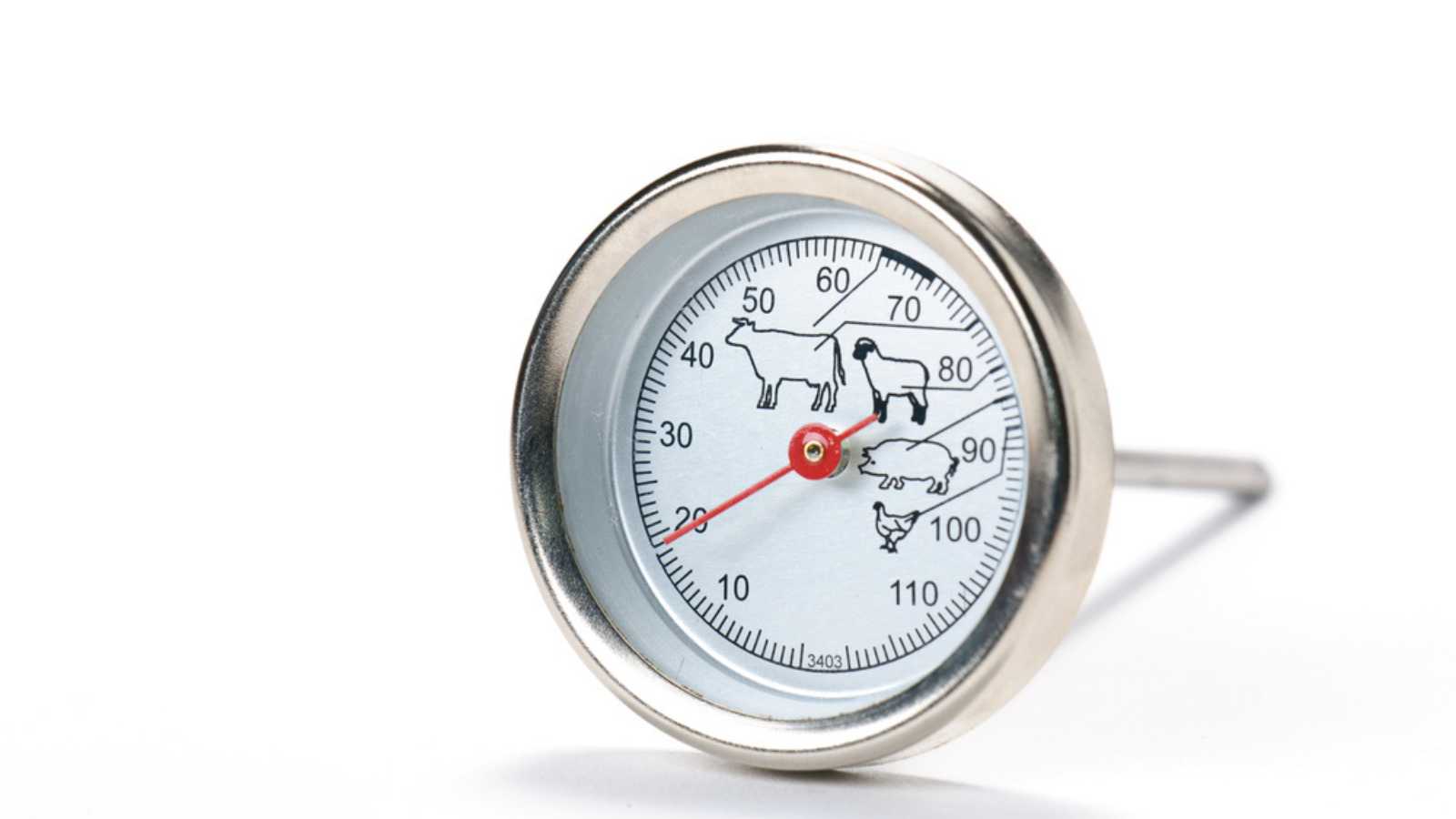 Meat Thermometer