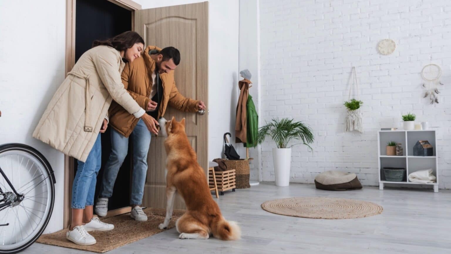 Leaving Home Pet Owners Share Their Heartwarming Farewell Rituals