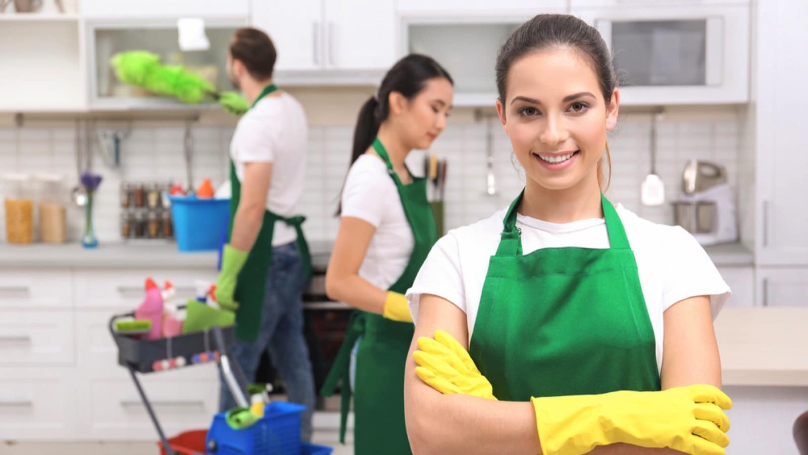 Professional Cleaner