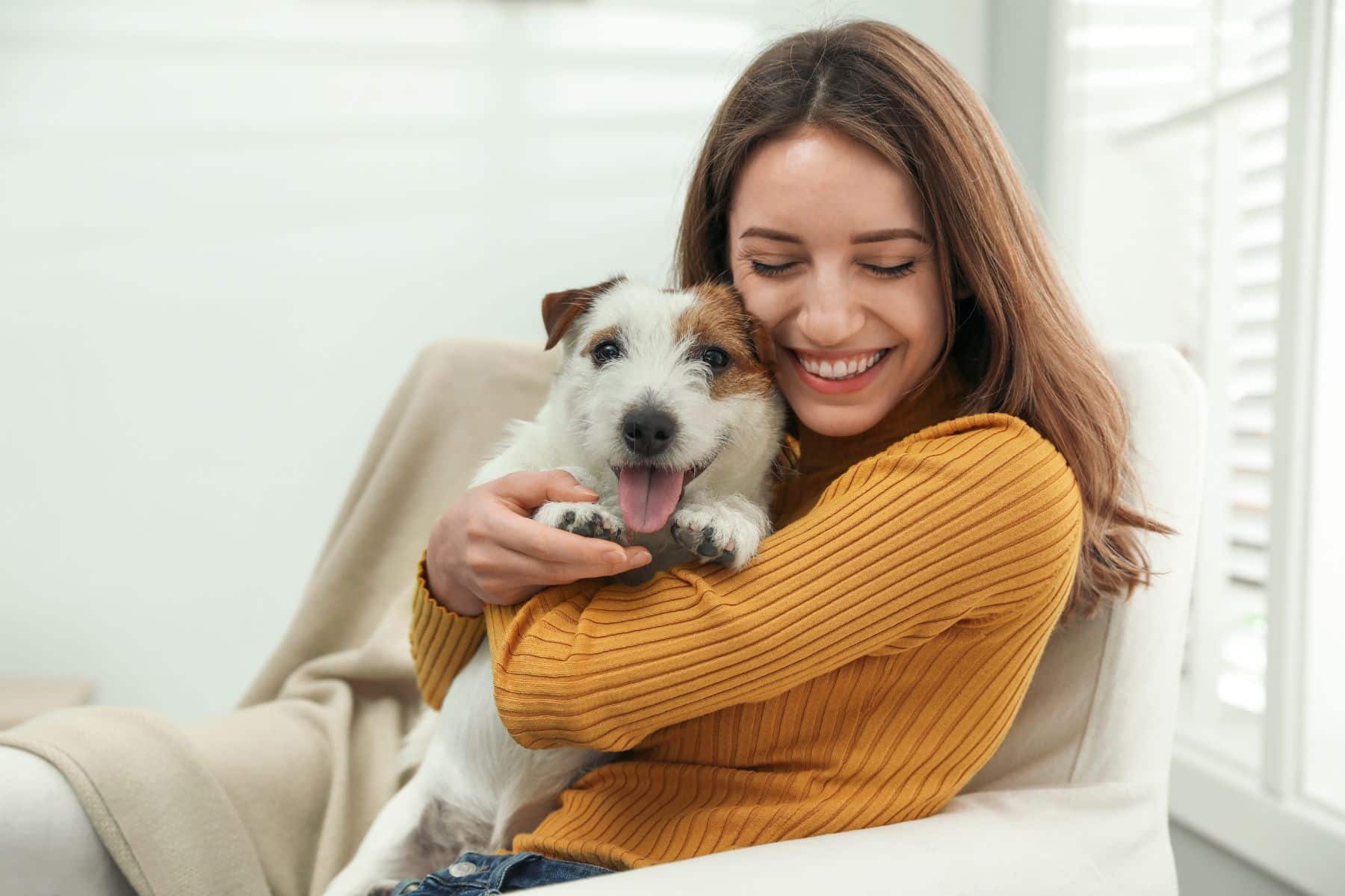 Young woman with her cute Jack Russell Terrier at home. Lovely pet